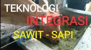 Embedded thumbnail for Teknologi Integrasi Sawit Sapi